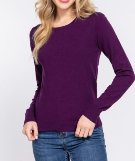 Long Sleeve Crewneck Basic Sweater