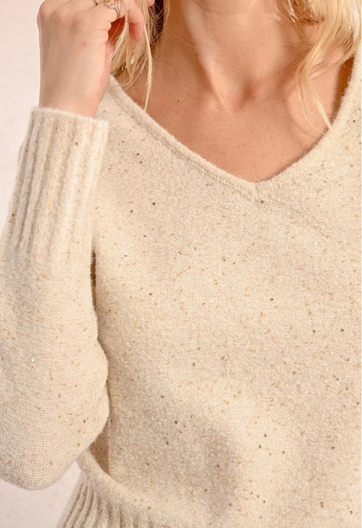 Ivory & Gold Sequin Sprinkled Sweater