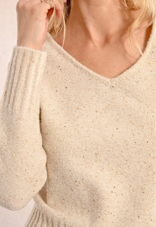 Ivory & Gold Sequin Sprinkled Sweater