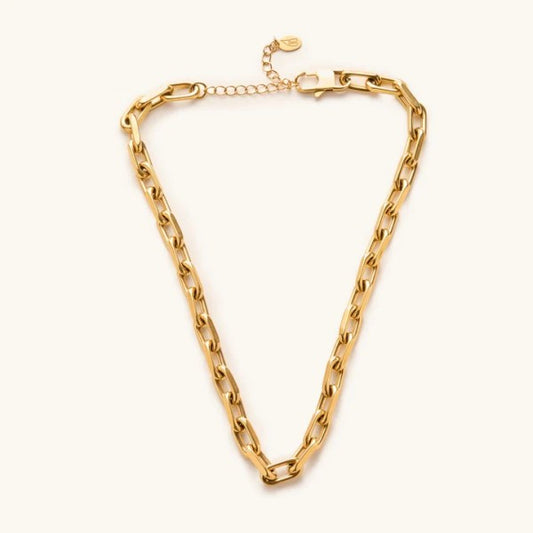 Dani Chunky Link Necklace