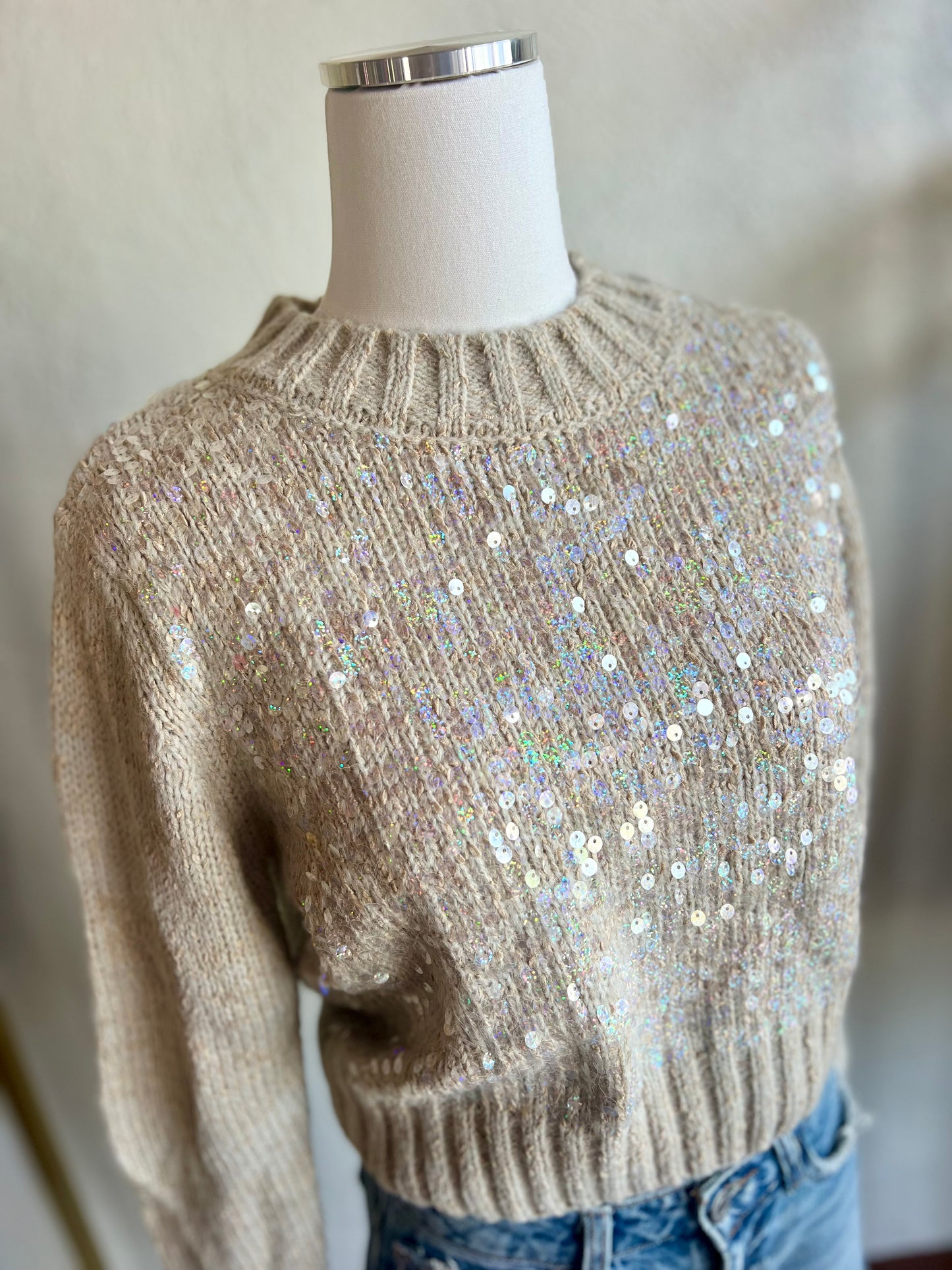 Crewneck Sequined Sweater